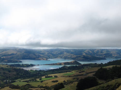 Zuidereiland - Acaroa