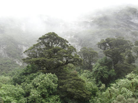 Zuidereiland - Lord of the rings.