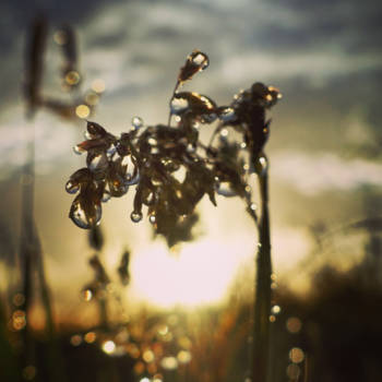 Noordereiland - Vandaag is de eerste dag van een lang avontuur