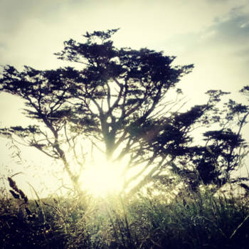 Noordereiland - Mount Wellington