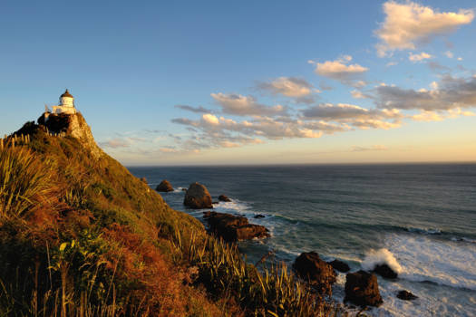 Zuidereiland - Nugget Point