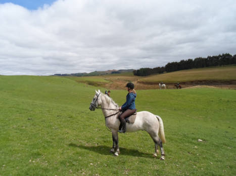 Queenstown - On a hunt!