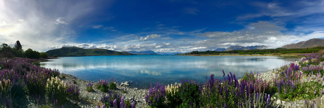 Lake Tekapo - Lake Tekapo