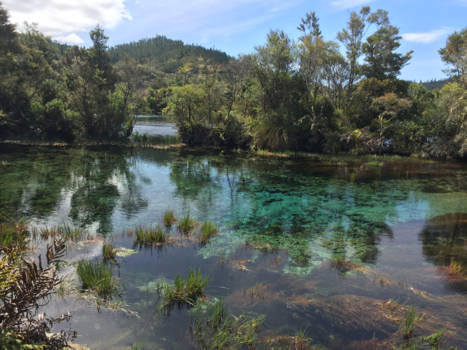 Zuidereiland - Te Waikoropupū Springs