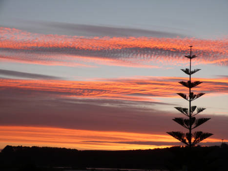 The Official Centre of New Zealand - Mooi....zonsondergang aan de Pacific Ocean