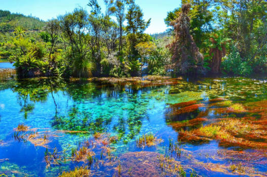 Te Waikoropupu Springs - Te Waikoropupu Springs