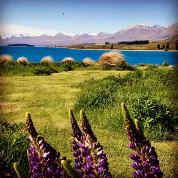 Lake Tekapo - Paradijs op aarde