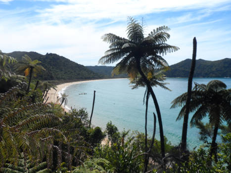 Zuidereiland - Abel Tasman NP
