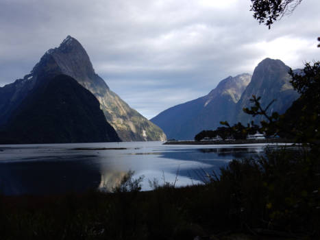Zuidereiland - Milford Sound