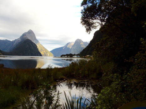 Zuidereiland - Milford Sound