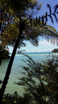 Zuidereiland - Abel Tasman