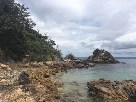 Noordereiland - Verlaten stukje paradijs