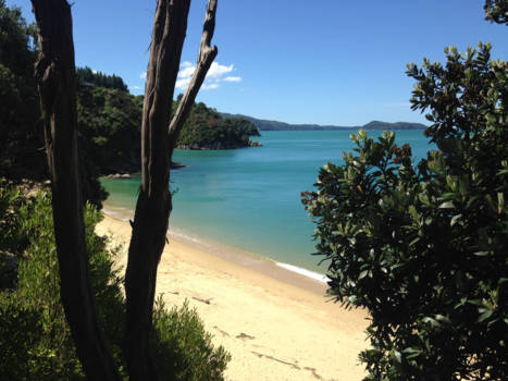 Abel Tasman National Park - early spring in  Tasman national park New Zealand