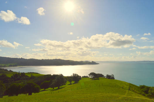 Noordereiland - Duder Regional Park - Whakakaiwhara Pa Walk