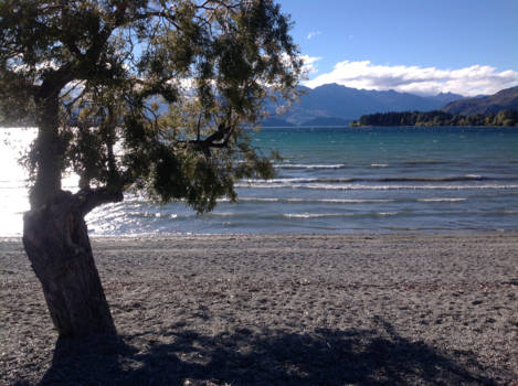 Wizard of New Zealand - Land van licht en schaduw