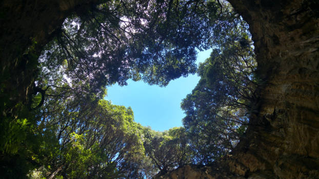 Noordereiland - An awesome Blowhole