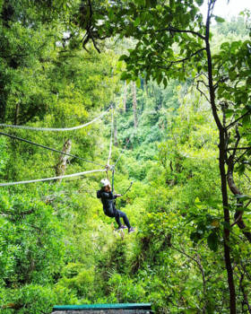 Rotorua - Like a monkey in the jungle!!