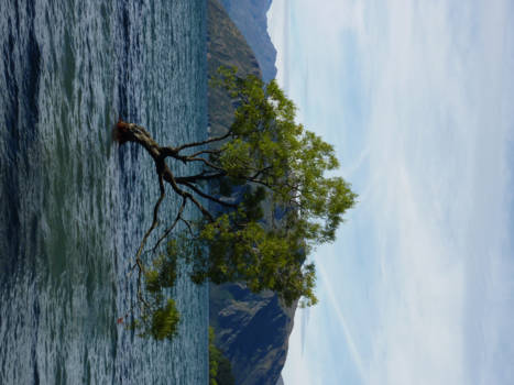 Wanaka - Lake Wanaka ,  Nieuw Zeeland