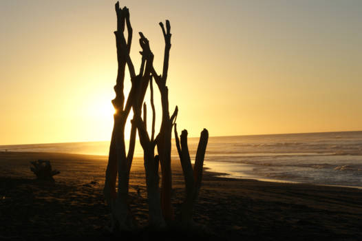 Zuidereiland - Zonsondergang hokitika, Zuidereiland NZ