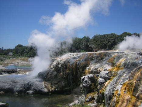 Noordereiland - Pohutu Geyser in Kuirau Park