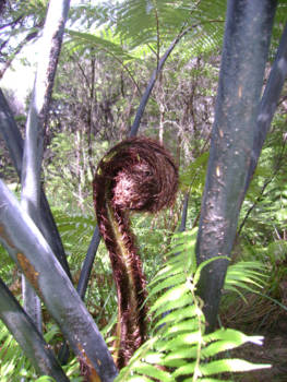 Abel Tasman National Park