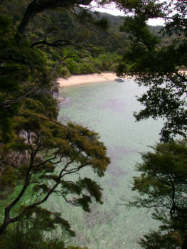 Abel Tasman National Park