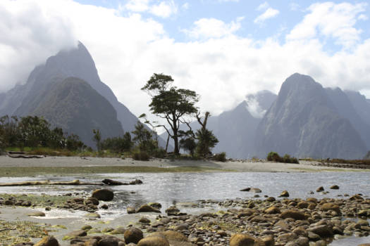 Wizard of New Zealand - Milford sounds beauty