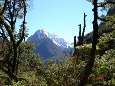 Zuidereiland - Mountain high