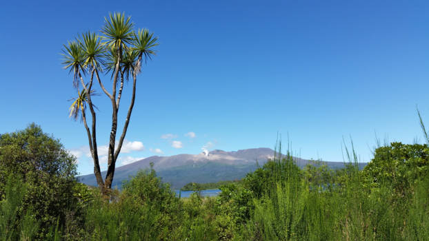 Noordereiland - Mount Ngauruhoe also known as Mount Doom ___ idyllic version!