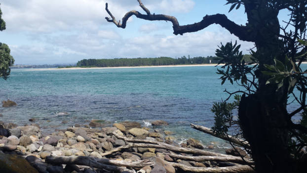 The Official Centre of New Zealand - Uitzicht bij Mount Manganui