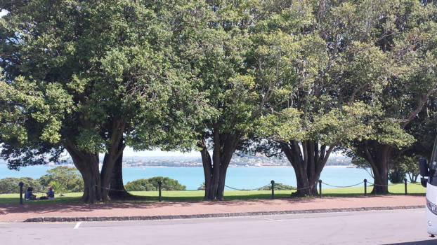 The Official Centre of New Zealand - Ten noorden van Auckland