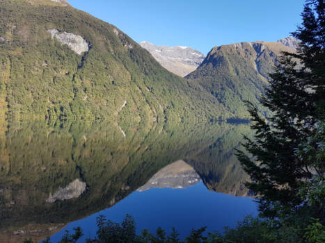 Zuidereiland - Alien Nature