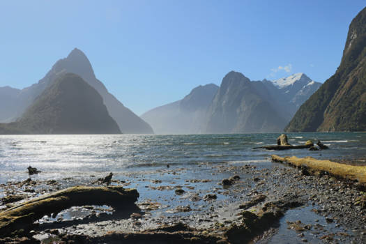 Zuidereiland - Milford Sound