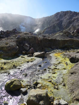 The Official Centre of New Zealand - bezoek aan white island was onvergetelijk wat een natuur.