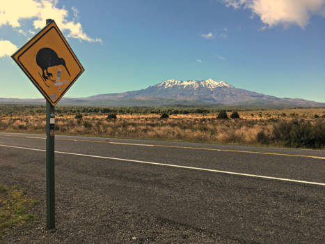 Tongariro National Park - Watch out for skiwi
