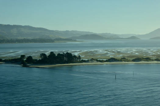Otago Peninsula