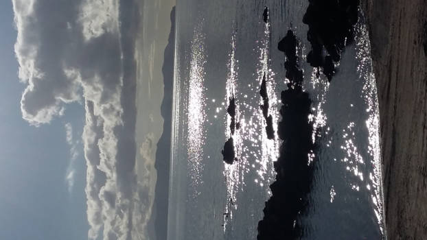 The Official Centre of New Zealand - Mysterieus.......New Zealand! Waanzinnig en veelzijdig mooi!