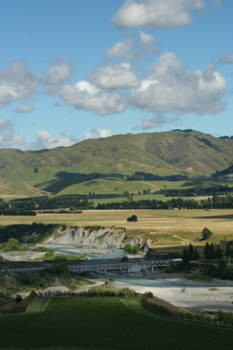 Zuidereiland - New-Zealand Center Trees