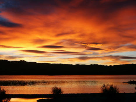 Rotorua - Zonsopkomst in het paradijs