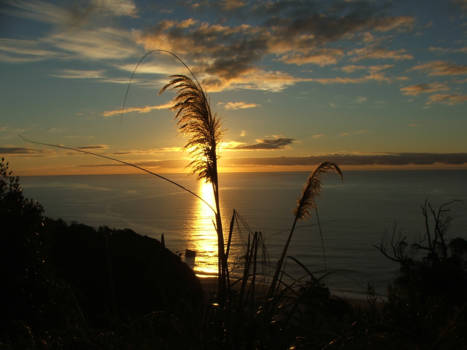 Punakaiki Pancake Rocks - Dag zon!