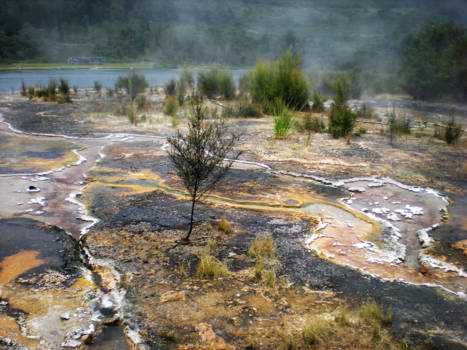 Noordereiland - Gevaarlijke kleuren