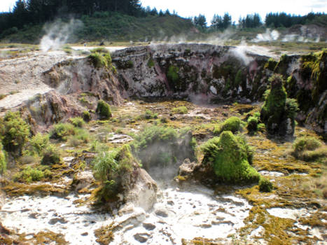 Noordereiland - Dunne aarde in Craters of the moon