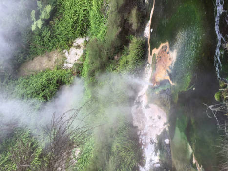 The Official Centre of New Zealand - 50 shades of green