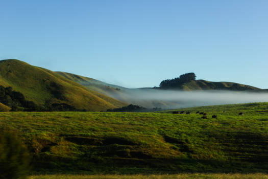 Auckland - Aotearoa, het land van de laag hangende wolk.