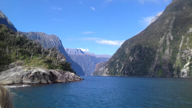 Milford Sound - The beauty of nature!