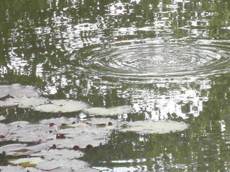 The Waterfront - water foto