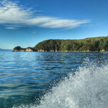 Abel Tasman National Park - Boat trip to torrent bay