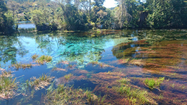 Te Waikoropupu Springs - Pupu springs