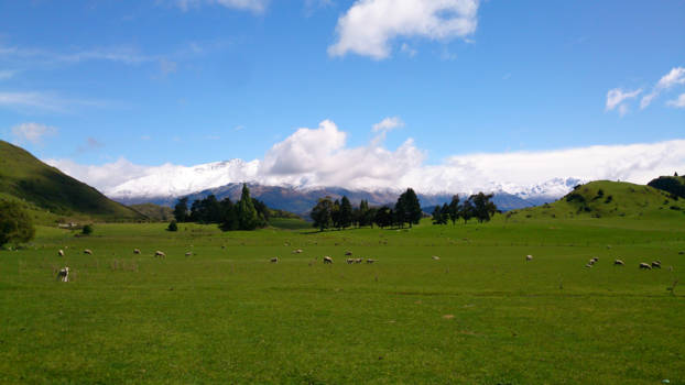 Wanaka