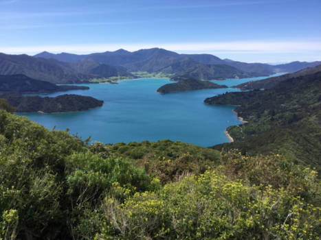 Marlborough Sounds